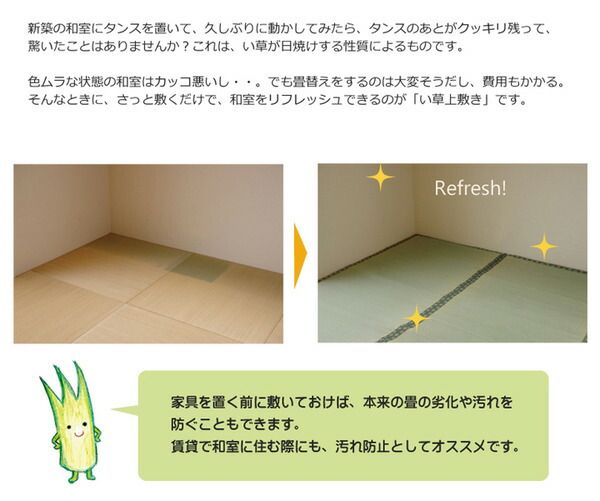 日本製 い草 上敷き/ラグマット 双目織 三六間4.5畳 約273×273cm 抗菌 防臭 調湿機能付き 〔リビング 和室〕代引NG
