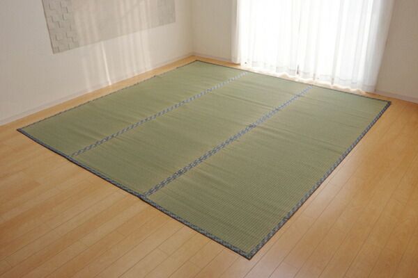 日本製 い草 上敷き/ラグマット 糸引織 江戸間2畳 約176×176cm 抗菌 防臭 調湿機能付き 柿田川 〔リビング〕代引NG