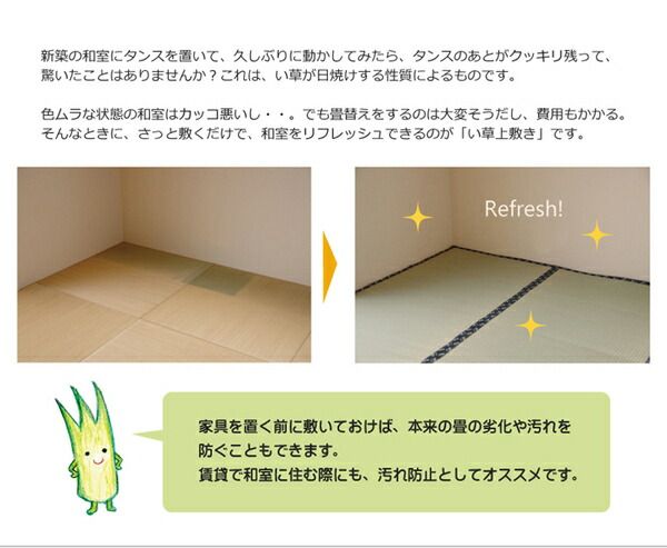 日本製 い草 上敷き/ラグマット 糸引織 江戸間3畳 約176×261cm 抗菌 防臭 調湿機能付き 梅花 〔リビング〕代引NG
