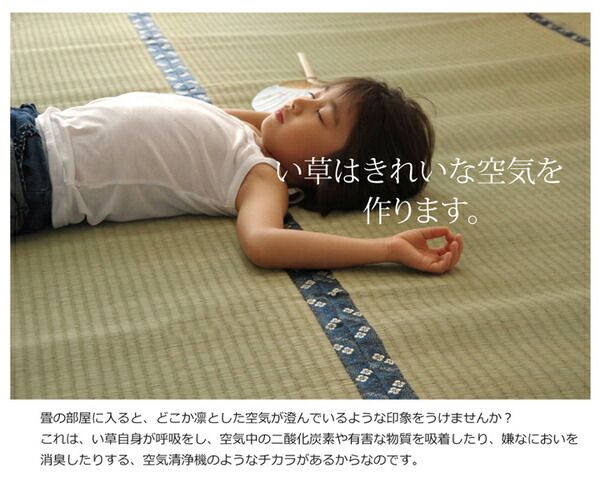 日本製 い草 上敷き/ラグマット 糸引織 六一間3畳 約185×277cm 抗菌 防臭 調湿機能付き 梅花 〔リビング〕代引NG