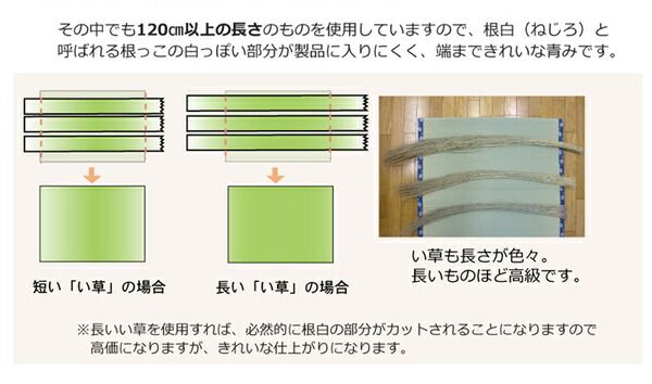 日本製 い草 上敷き/ラグマット 糸引織 本間2畳 約191×191cm 抗菌 防臭 調湿機能付き 梅花 〔リビング〕代引NG