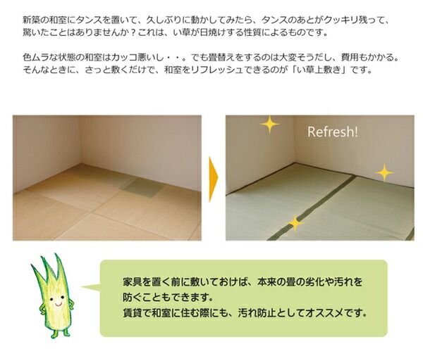 日本製 い草 上敷き/ラグマット 双目織 本間2畳 約191×191cm 抗菌 防臭 調湿機能付き 草津 〔リビング〕代引NG