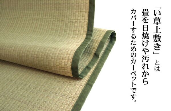 日本製 い草 上敷き/ラグマット 双目織 本間8畳 約382×382cm 抗菌 防臭 調湿機能付き 草津 〔リビング〕代引NG