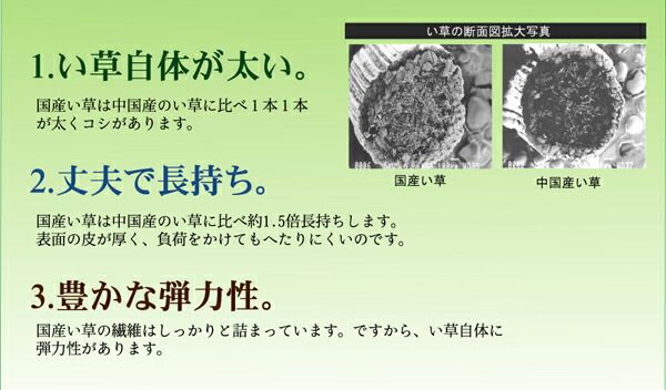 い草 上敷き/ラグマット 本間4.5畳 約286×286cm 裏：ウレタン張 フリーカット 日本製 抗菌 防臭 調湿 〔リビング〕代引NG