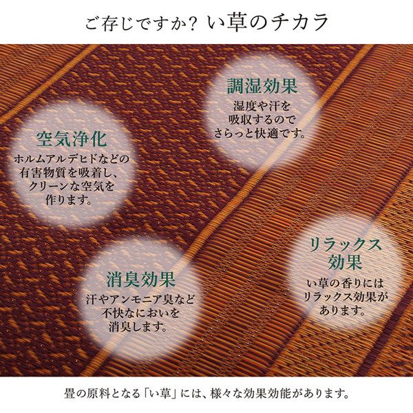 い草 廊下カーペット/ラグマット ベージュ 約80×240cm 日本製 抗菌 防臭 調湿 防傷 裏：不織布 〔玄関 入口 リビング〕代引NG