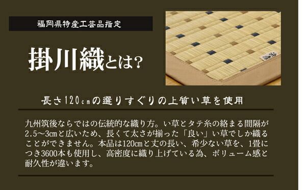 日本製 い草 ラグマット/絨毯 掛川織 江戸間2畳 約174×174cm 抗菌 防臭 調湿効果付き 消臭 クッション性 〔リビング〕代引NG
