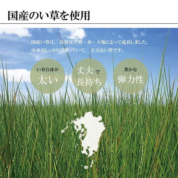 掛川織 い草 花ござ/ラグマット モダン ブラック 江戸間4.5畳 約261×261cm 抗菌 防臭 日本製 福岡県品評会最優秀賞代引NG