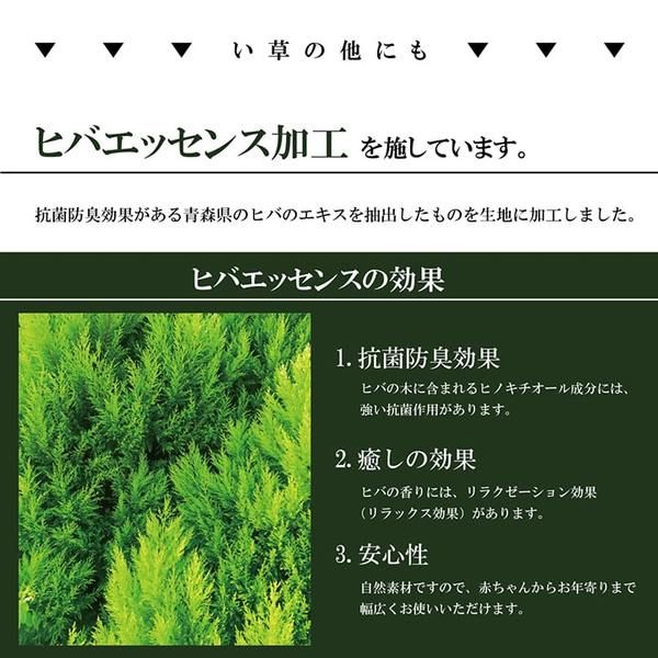 掛川織 い草 花ござ/ラグマット モダン ブラック 江戸間8畳 約348×352cm 抗菌 防臭 日本製 福岡県品評会最優秀賞代引NG