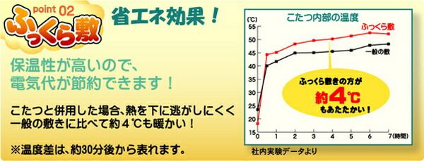 ラグマット/こたつ敷布団 グリーン 190×190cm 洗える 軽量 国産固綿40mm使用 フランネル地 ふっくら敷 〔リビング〕代引NG