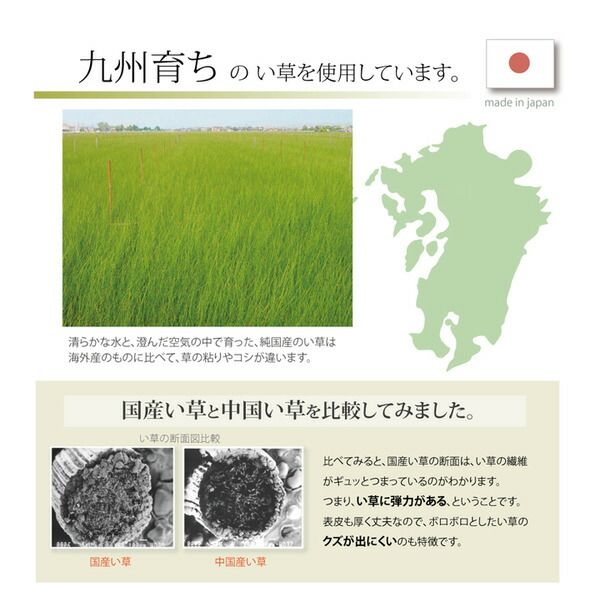純国産/日本製 い草ごろ寝マット ピンク 約70×120cm（中：固わた15mm）代引NG