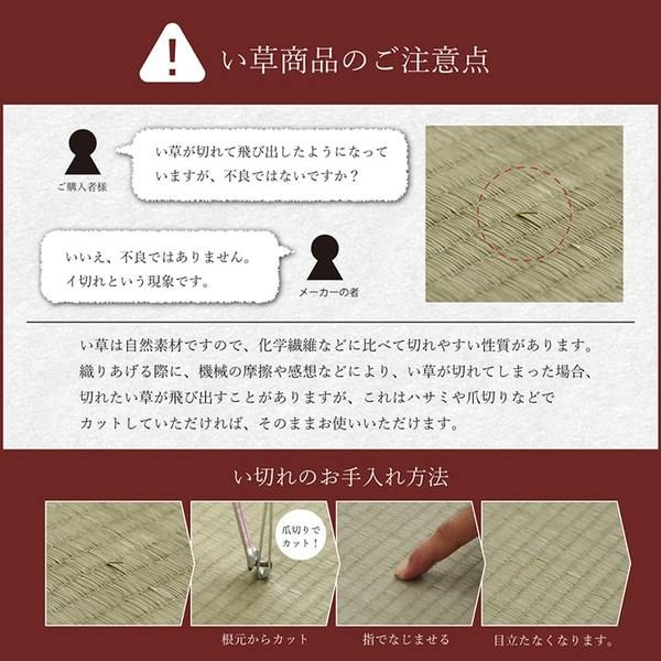い草 い草マット 国産 ごろ寝マット くつろぎ 折畳み可 ブラウン 約90×200cm代引NG