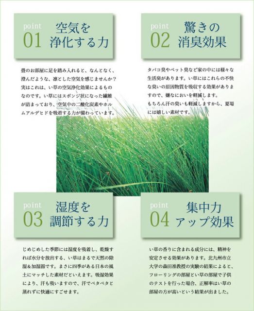 い草 ユニット畳/置き畳 【88×88×2.2cm 2枚1セット】 不織布 防滑 抗菌 防臭 調湿 消臭 〔リビング ダイニング〕【代引NG】
