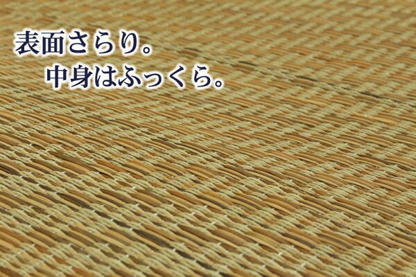 い草 ラグマット/絨毯 チップウレタン8mm入 約200×200cm 正方形 抗菌 防臭 ホットカーペット対応 〔リビング ダイニング〕代引NG
