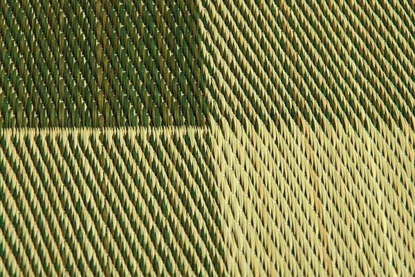 い草 座布団 織込千鳥 2枚組 ブラウン 約55×55cm×2P 抗菌 防臭 調湿 日本製 ブロック 〔リビング 来客 和室〕代引NG