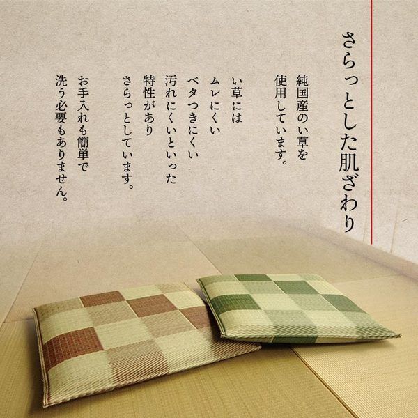 い草 座布団 織込千鳥 2枚組 ブラウン 約55×55cm×2P 抗菌 防臭 調湿 日本製 ブロック 〔リビング 来客 和室〕代引NG
