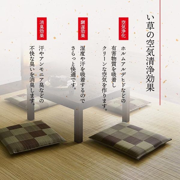 い草 座布団 織込千鳥 2枚組 ブラウン 約55×55cm×2P 抗菌 防臭 調湿 日本製 ブロック 〔リビング 来客 和室〕代引NG