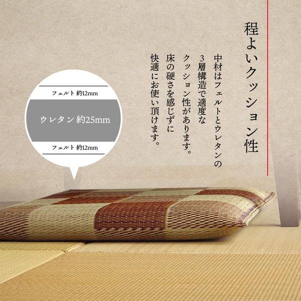 い草 座布団 織込千鳥 2枚組 ブラウン 約55×55cm×2P 抗菌 防臭 調湿 日本製 ブロック 〔リビング 来客 和室〕代引NG