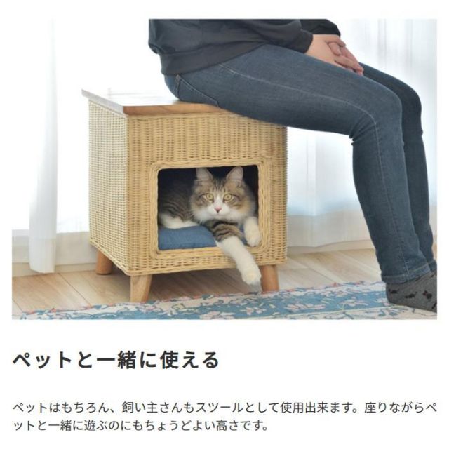 スーパSALE10倍＆4時間限定10％OFF ペットと一緒に使える　ペットハウススツール ラタン素材×天然パイン天板