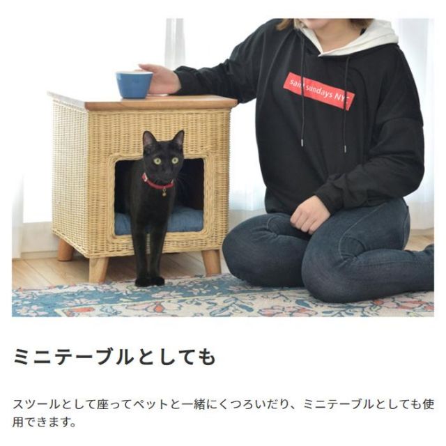 スーパSALE10倍＆4時間限定10％OFF ペットと一緒に使える　ペットハウススツール ラタン素材×天然パイン天板