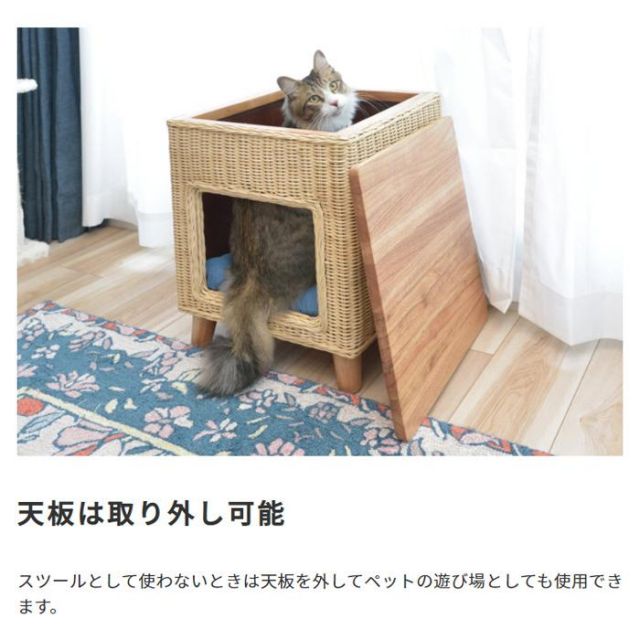 スーパSALE10倍＆4時間限定10％OFF ペットと一緒に使える　ペットハウススツール ラタン素材×天然パイン天板