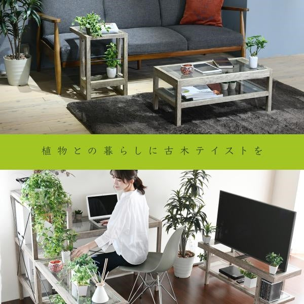 グリーンのある暮らし テレビ台 ガラス 古材 インテリア 40インチ