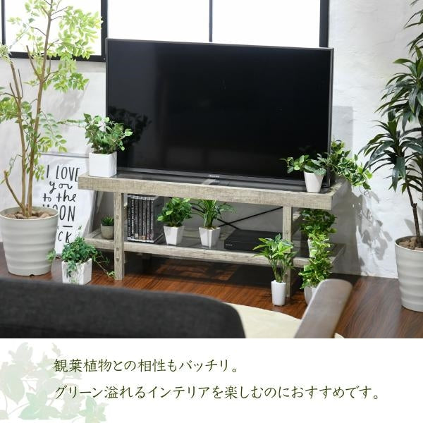 グリーンのある暮らし テレビ台 ガラス 古材 インテリア 40インチ グリーン シャビー 多肉植物 ラック おしゃれ 鉢置き台 一人暮らし テレビボード ロータイプ